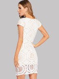 Cut-out Cap Sleeve Lace Pencil Dress