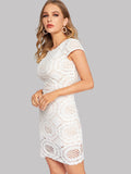 Cut-out Cap Sleeve Lace Pencil Dress