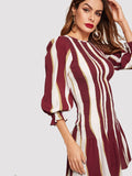 Color Block Bishop Sleeve Smock Dress